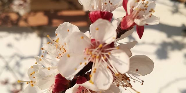IMG_20190417_181928