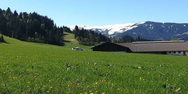 IMG_20190502_102927