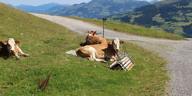 KAT Bike E-Bike Erfahrung in den Kitzbueheler Alpen_Foto Lisa Rudolf (106)