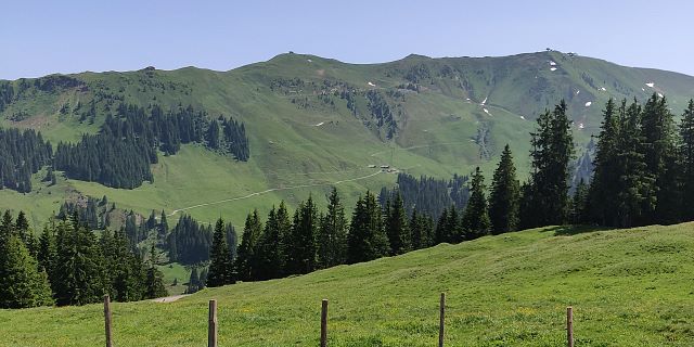 KAT-Walk-Kitzbüheler-Alpen-Alpin-Etappe4-Almlandschaft-c-Ann-Kathrin-Graser