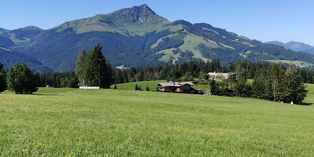 KAT-Walk-Kitzbüheler-Alpen-Alpin-Etappe6-Kitzbüheler-Horn-vom-Talboden-c-Ann-Kathrin-Graser