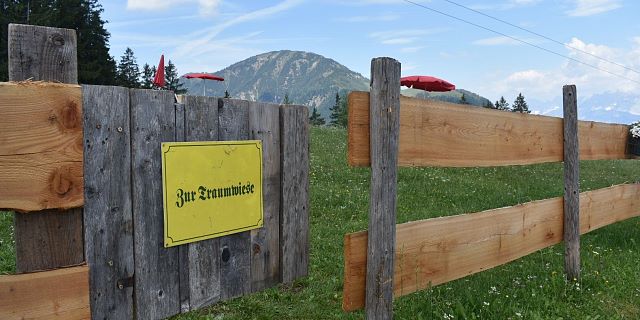Kitzbüheler Alpen-Wildalpgatterl-Fieberbrunn-Pillerseetal-Alleskönnerberg