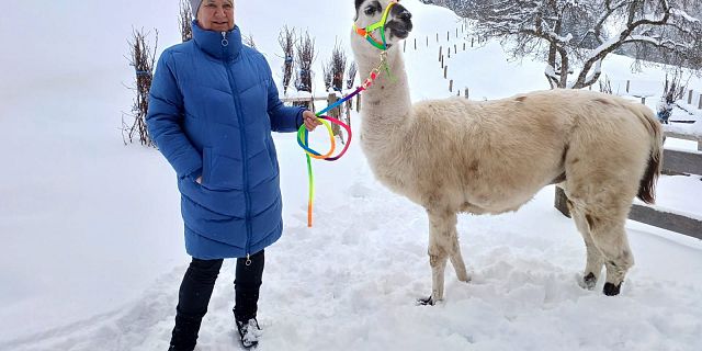 Lama Trekking (c) Marion Pichler 3