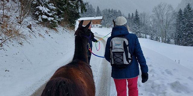 Lama Trekking (c) Marion Pichler 4