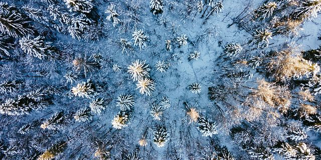 Lebenswege Kitzbüheler Alpen Sabine Huber
