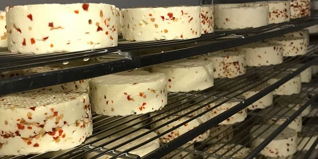 Milchbuben kaasfabriek-Tirolse kaas van Hopfgarten_Thiebout van den Berg