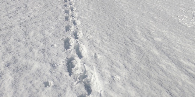 sneeuwschoen-hopfgarten-voetstappen