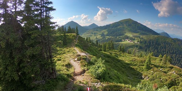 Speascht 2018 (c) Laufcoaches.com - Trail