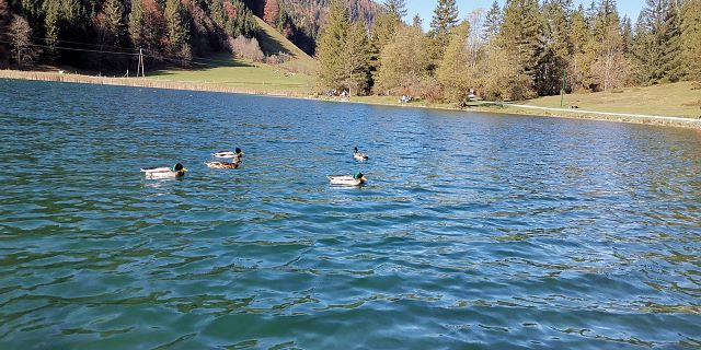 Vorbei am wunderschönen Pillersee